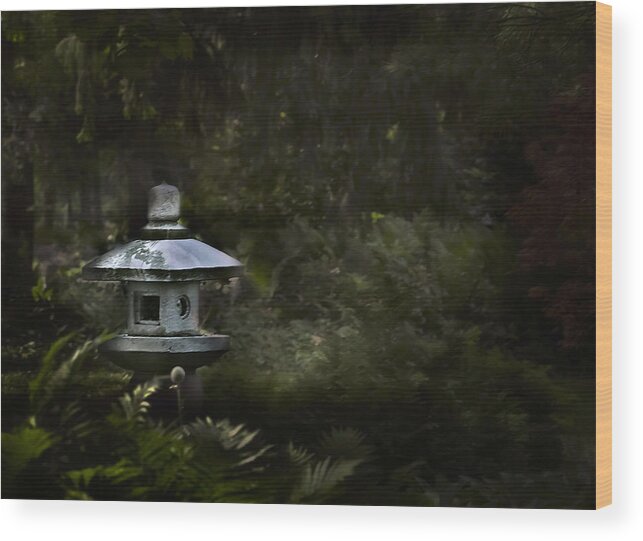 Light Wood Print featuring the photograph Light and Tranquility by Robin Webster