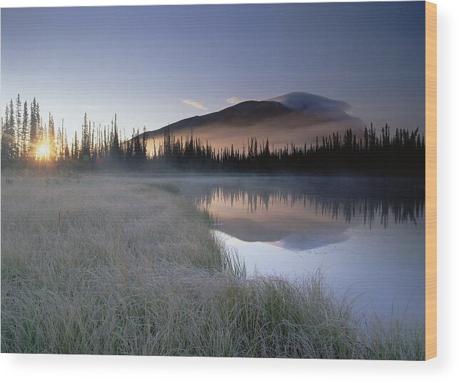 00172859 Wood Print featuring the photograph Nisling Range Yukon Territory Canada by Tim Fitzharris