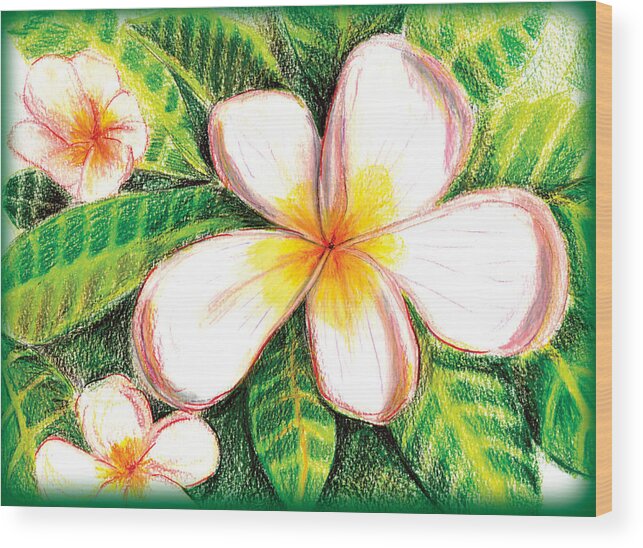 Flowers Wood Print featuring the drawing Plumeria With Foliage by Shelley Myers