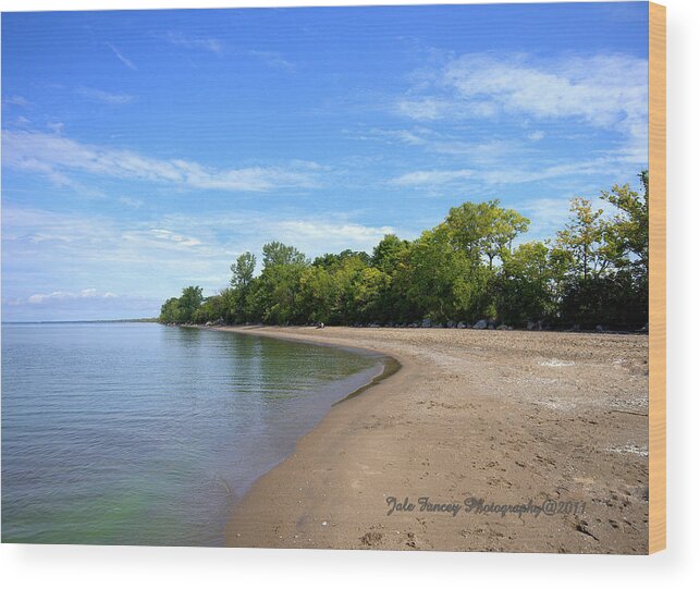 Photography Wood Print featuring the photograph Point Pelee Beach by Jale Fancey