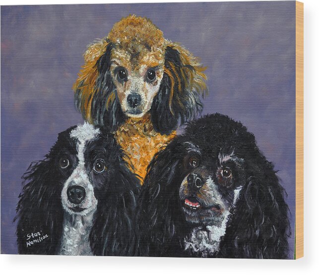 Poodles Wood Print featuring the painting Poodles by Stan Hamilton