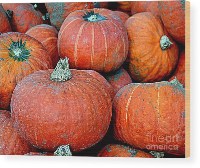 Pumpkin Wood Print featuring the photograph Pumpkin Patch by Kevin Fortier