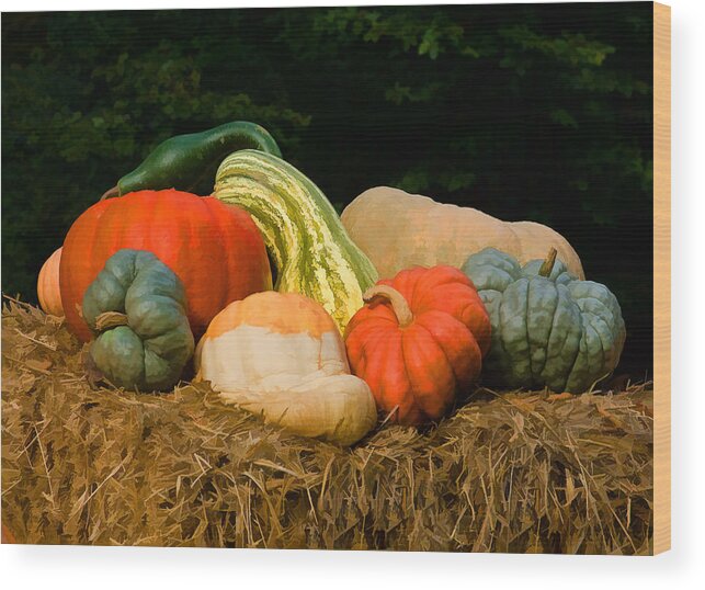Pumpkin Wood Print featuring the photograph Pumpkins and gourds by Steve Zimic