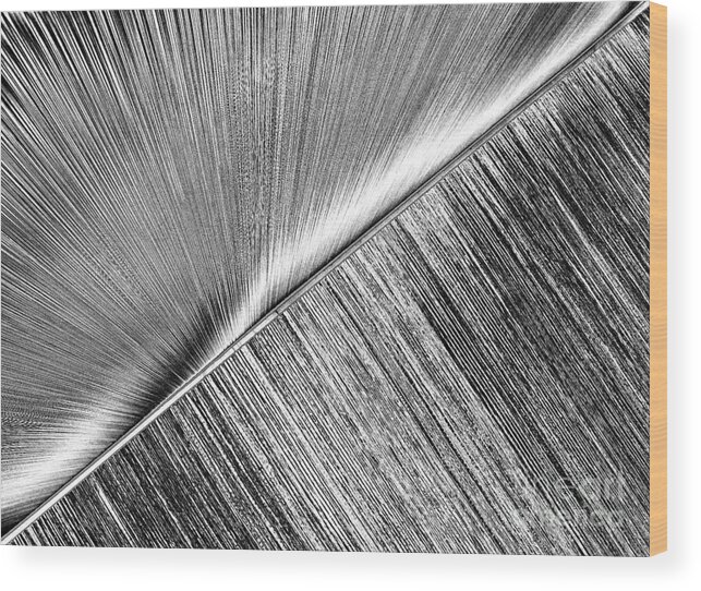 Abstract Wood Print featuring the photograph Diagonal. Black and White by Ausra Huntington nee Paulauskaite