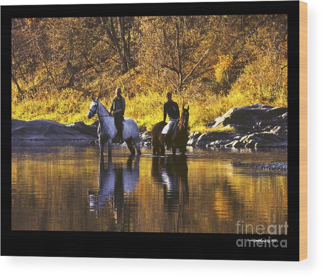 Horses Wood Print featuring the photograph Reflecting on the Ride by Jonathan Fine