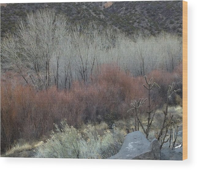 Pilgrimage Wood Print featuring the photograph Road to Chimayo by Joseph Mora