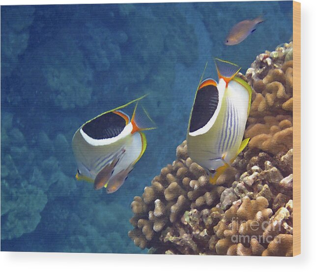Tropical Fish Wood Print featuring the photograph Saddleback Butterflyfish by Bette Phelan