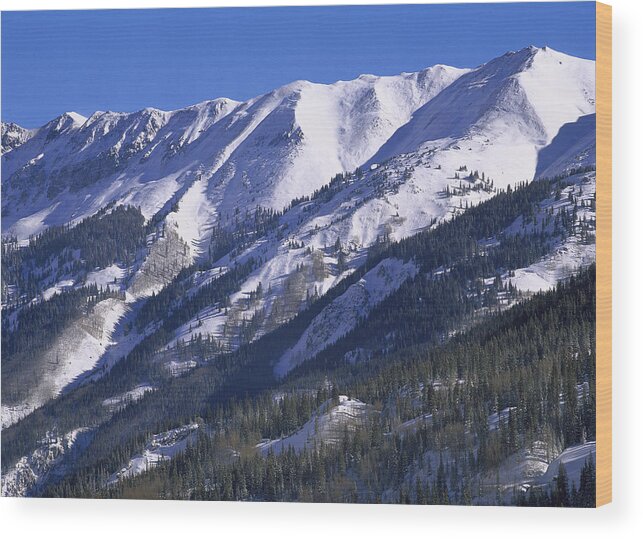 00175020 Wood Print featuring the photograph San Juan Mountains Covered In Snow by Tim Fitzharris