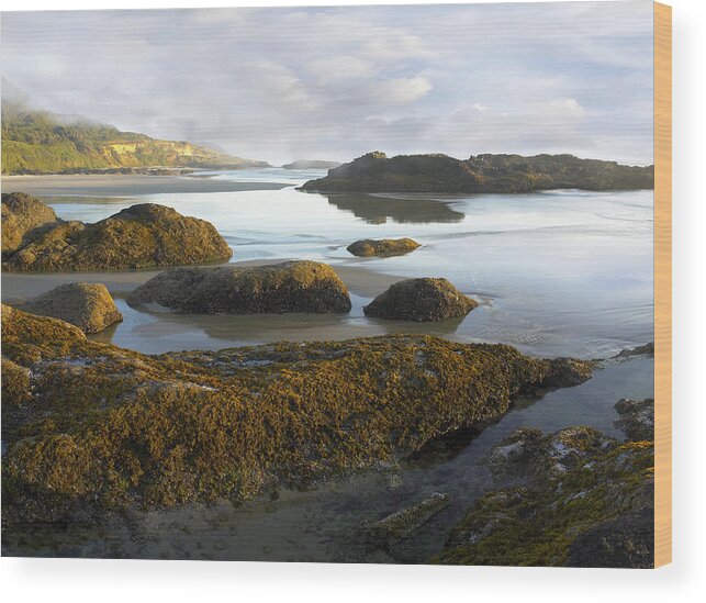 00175330 Wood Print featuring the photograph Low Tide at Neptune Beach by Tim Fitzharris