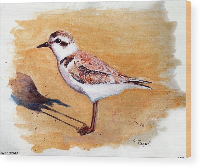 Bird Wood Print featuring the painting Snowy Plover by Chriss Pagani