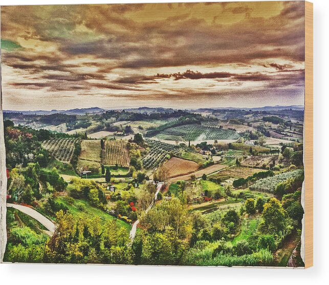 Tuscany Wood Print featuring the photograph Through an Open Window by William Fields