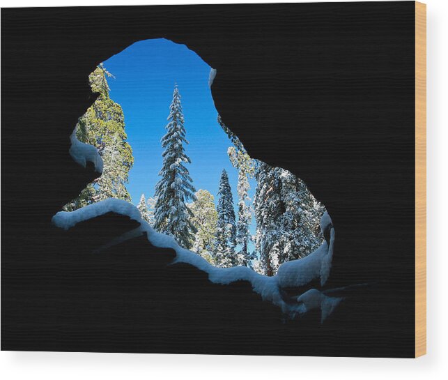Winter Wood Print featuring the photograph Winter Inside Out by Adam Pender