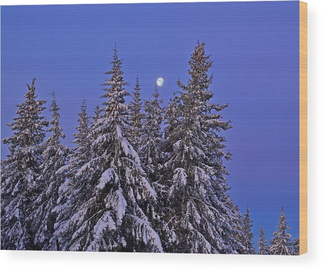 Snow Wood Print featuring the photograph Winter Night by Michele Cornelius