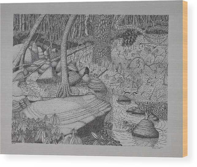 Nature Wood Print featuring the drawing Woodland Stream by Daniel Reed
