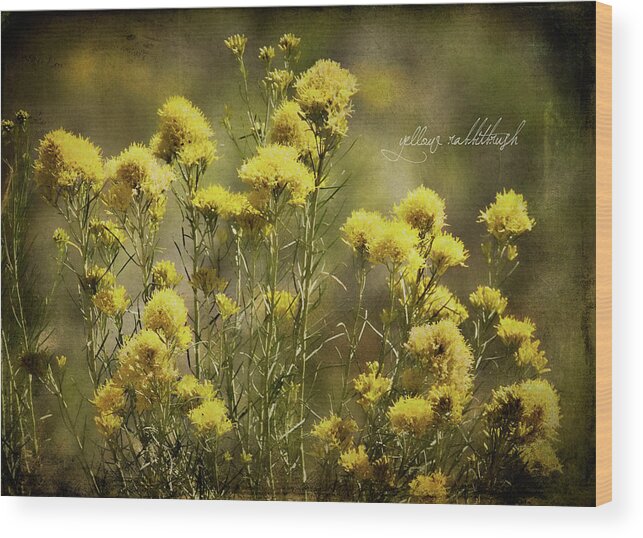 chrysothamnus Viscidiflorus Wood Print featuring the photograph Yellow Rabbitbrush by Lana Trussell