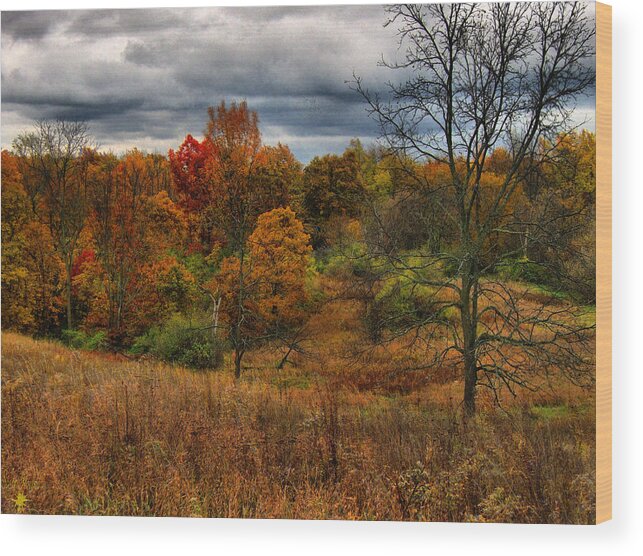Hovind Wood Print featuring the photograph Fall Colors by Scott Hovind