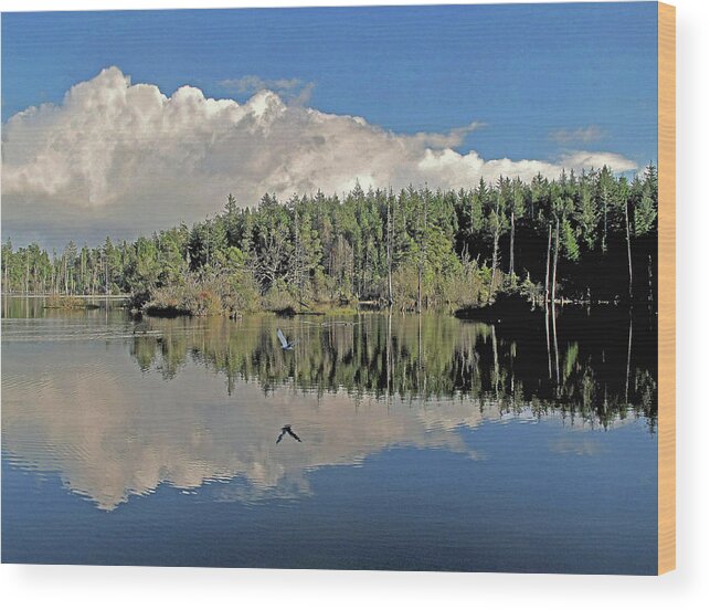 Lake Wood Print featuring the photograph Pause and Reflect #1 by Suzy Piatt