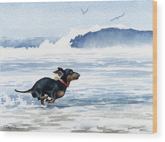 Dachshund Wood Print featuring the painting Dachshund at the Beach #3 by David Rogers
