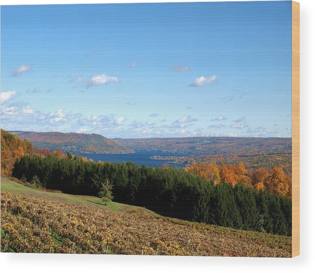 Keuka Lake Wood Print featuring the photograph Above the Vines by Joshua House