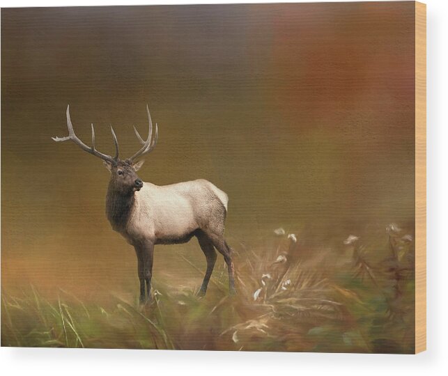 Alaskan Elk Wood Print featuring the photograph Alaskan Elk by Phyllis Taylor