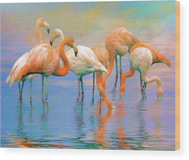 Caribbean Flamingos Wood Print featuring the photograph American Flamingos by Brian Tarr