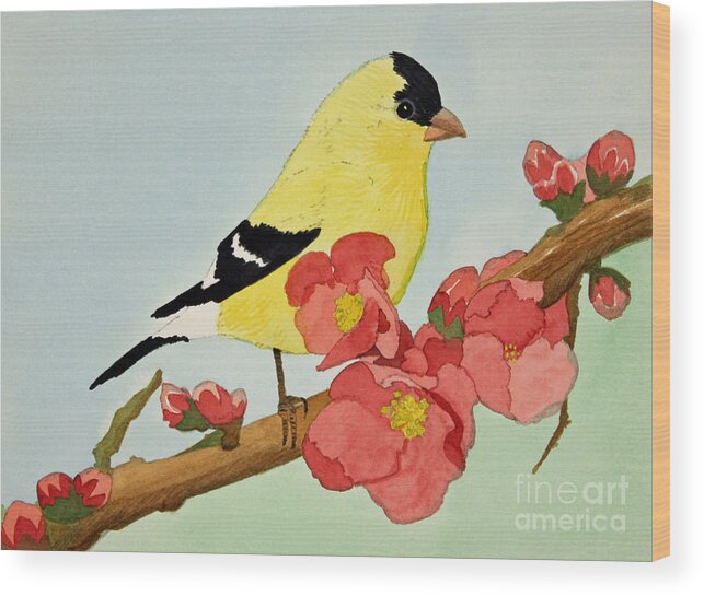 Bird Wood Print featuring the painting American Goldfinch by Norma Appleton