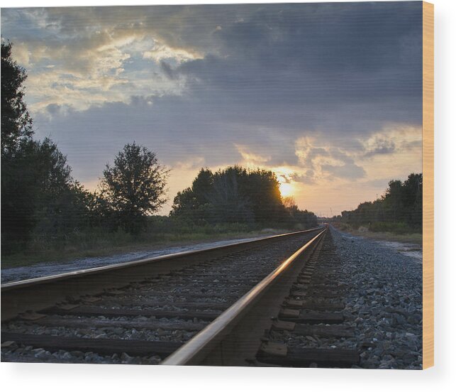 Train Wood Print featuring the photograph Amtrak Railroad System by Carolyn Marshall