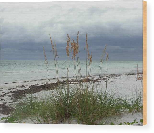 Photography Wood Print featuring the photograph Anna Maria Island by Amanda Vouglas