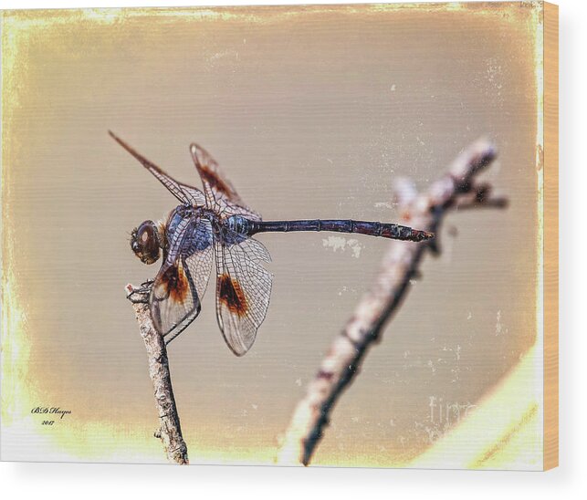 Dragonflies Wood Print featuring the digital art Attached by DB Hayes
