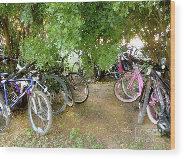 Zilker Park Wood Print featuring the photograph Austin Hike and Bike Trail - Zilker Park Bicycles - Easy Parking by Felipe Adan Lerma