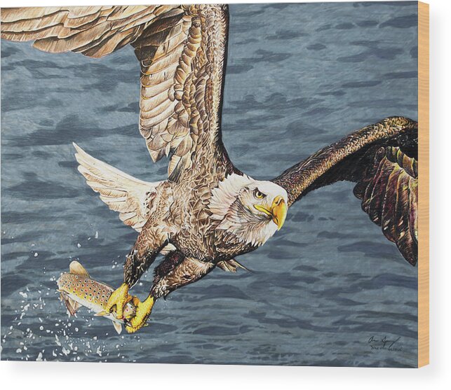 Eagle Wood Print featuring the drawing Bald Eagle fishing by Aaron Spong
