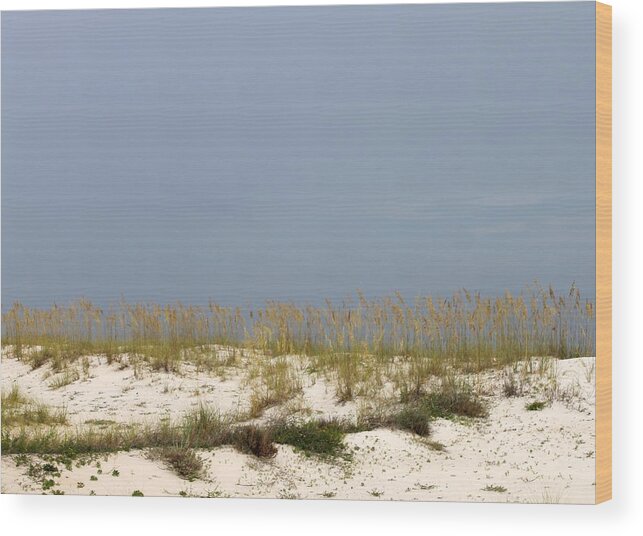 Alabama Wood Print featuring the photograph Beach Dunes by Eric Ward