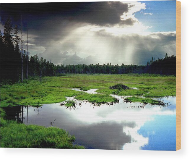 New York Adirondack Mts. Wood Print featuring the photograph Beaver Meadow by Frank Houck