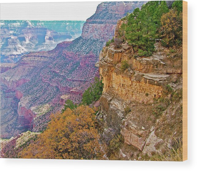 Below The Rim On Bright Angel Trail Of Grand Canyon National Park Wood Print featuring the photograph Below the Rim on Bright Angel Trail of Grand Canyon National Park-Arizona  by Ruth Hager