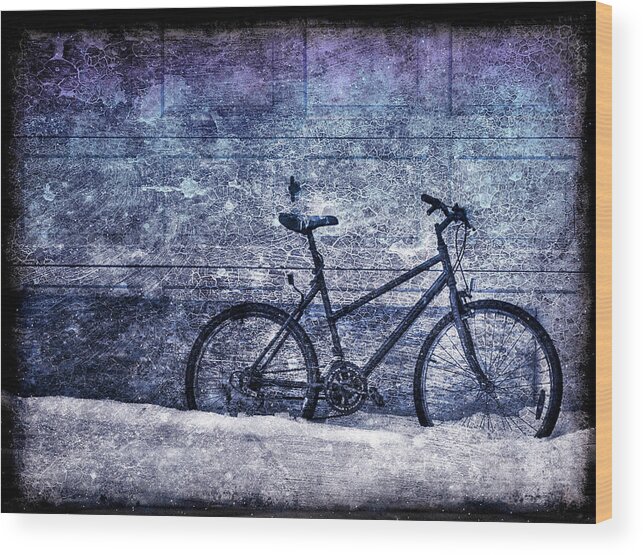 Bicycle Wood Print featuring the photograph Bicycle by Evelina Kremsdorf