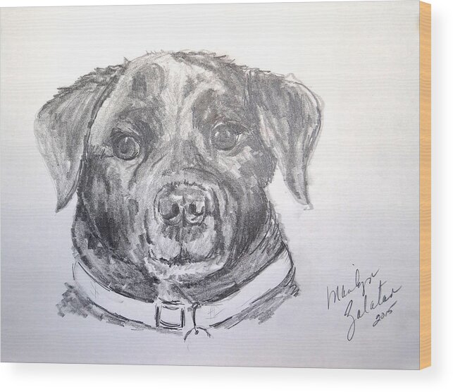 Dog Wood Print featuring the drawing Big Black Dog by Marilyn Zalatan