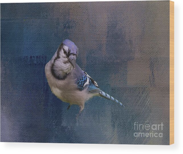 Blue Jay Wood Print featuring the photograph Blue Jay by Eva Lechner