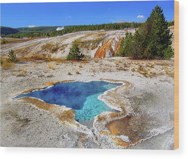 Blue Star Spring In Yellowstone Wood Print featuring the photograph Blue Star Spring in Yellowstone by Carolyn Derstine