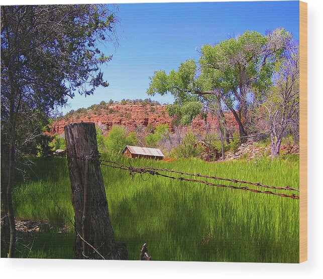 Arizona Wood Print featuring the photograph Boynton Canyon Arizona by Jen White