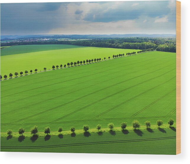 Green Wood Print featuring the photograph Bright green landscape with fields and trees by Matthias Hauser