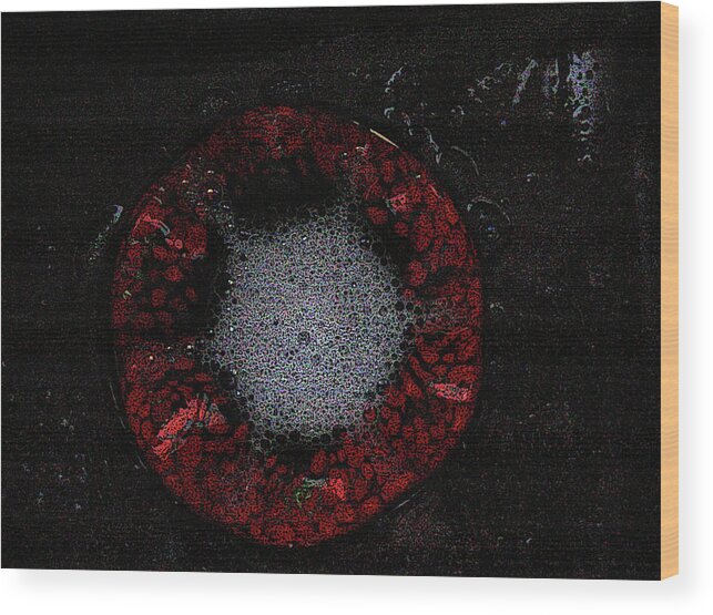 Bubbles Wood Print featuring the photograph Bubbles in Red by ShaddowCat Arts - Sherry