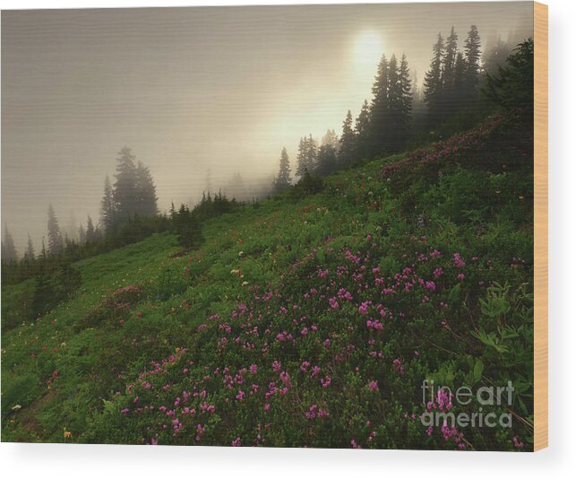 Mountain Heather Wood Print featuring the photograph Burning Through by Michael Dawson