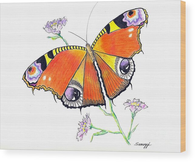 Butterfly Wood Print featuring the drawing Butterfly Dressed for a Masquerade Ball by Jayne Somogy
