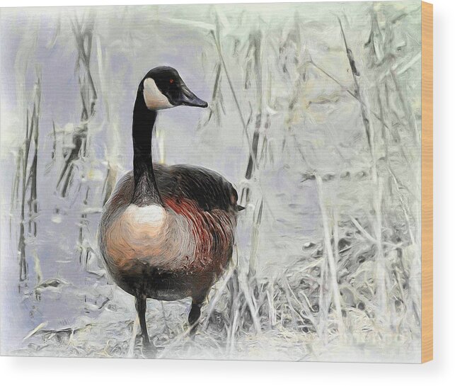 Goose Wood Print featuring the photograph Canada Goose by Elaine Manley