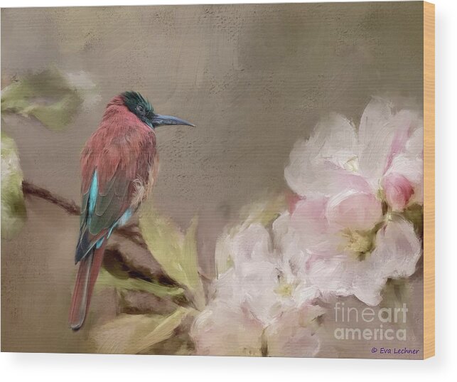 Carmine Bee-eater Wood Print featuring the photograph Carmine Bee-Eater by Eva Lechner
