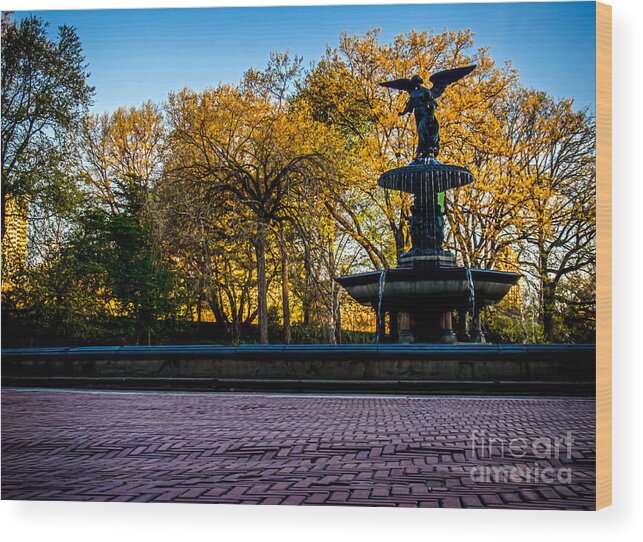 Central Park Wood Print featuring the photograph Central Park's Bethesda Fountain by James Aiken