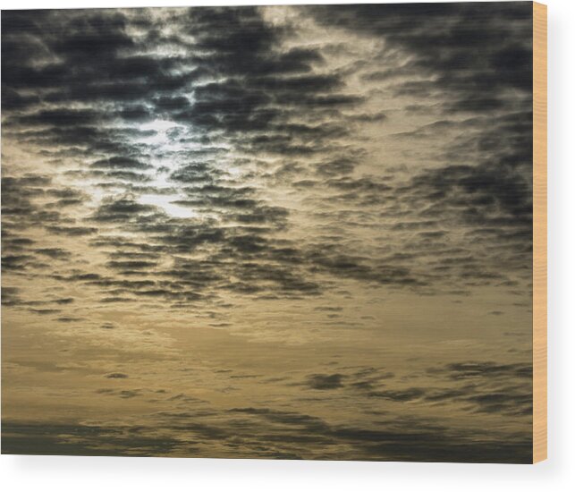 Nature Wood Print featuring the photograph Circle of the Sun by Douglas Killourie