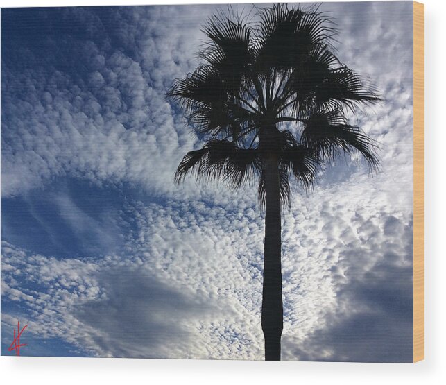 Colette Wood Print featuring the photograph Clouds and Tree by Colette V Hera Guggenheim