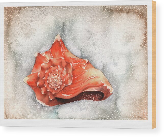 Conch Wood Print featuring the painting Conch Shell by Hilda Wagner