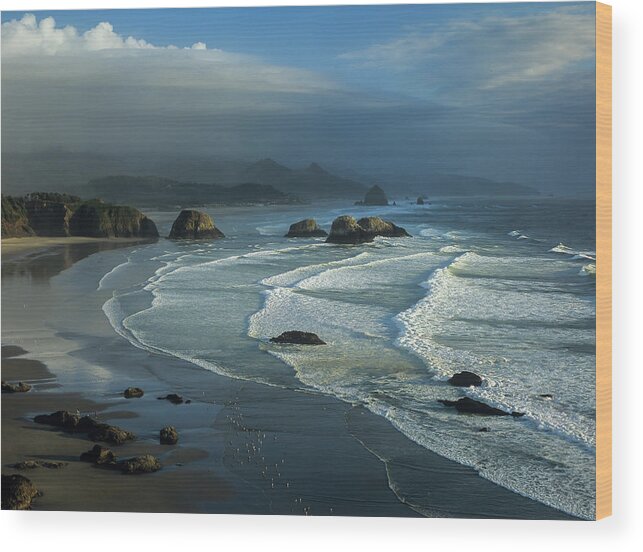 Beach Wood Print featuring the photograph Crescent Beach and Surf by Robert Potts